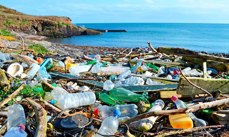 Tác hại ô nhiễm môi trường từ rác thải nhựa